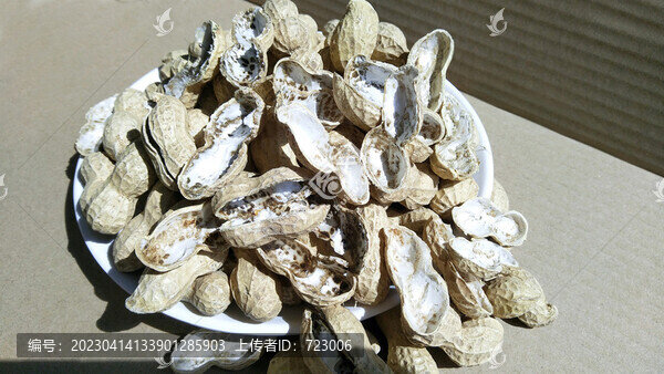 花生殼