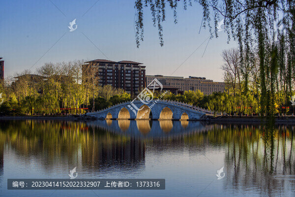 玉淵潭公園櫻花季