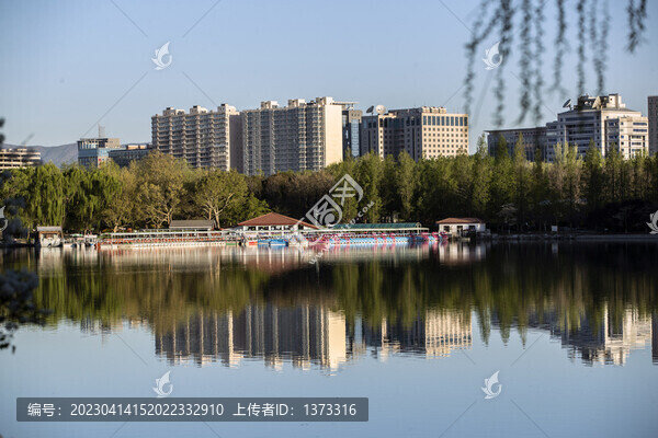 玉淵潭公園櫻花季