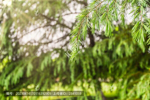 南京明故宮遺址公園風(fēng)景