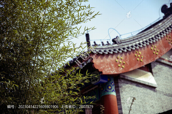 春到古寺