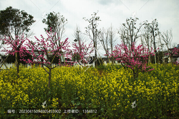 桃花桃花園