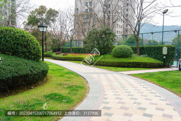 小區(qū)綠化帶