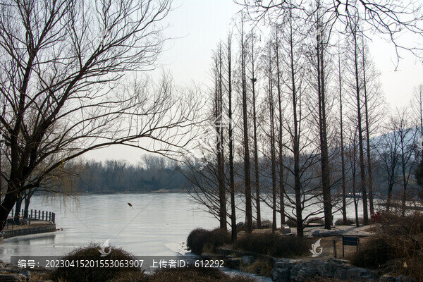冬季湖景