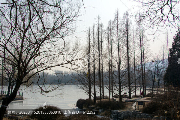 冬天湖邊蕭條景色