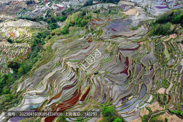 元陽梯田