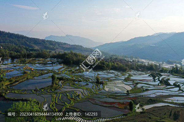 元陽(yáng)梯田