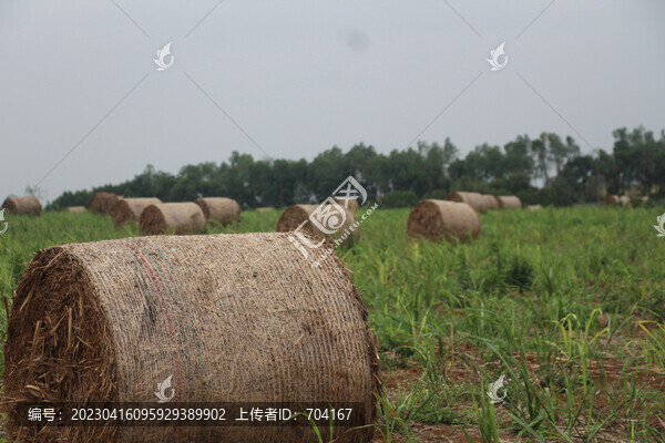 草垛