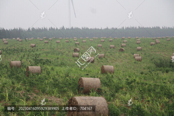 草垛