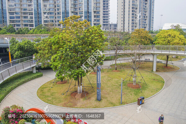 俯瞰廈門山海健康步道與樹木