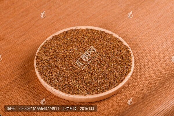 菟絲子