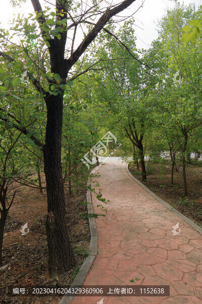 公園小路