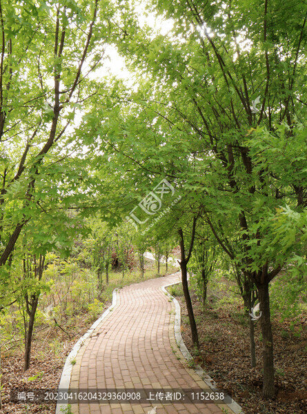 公園小路