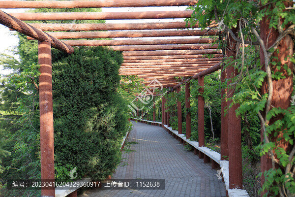 公園小景