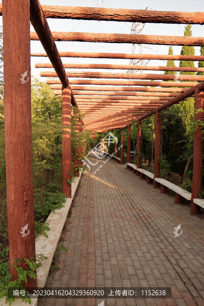 公園小路