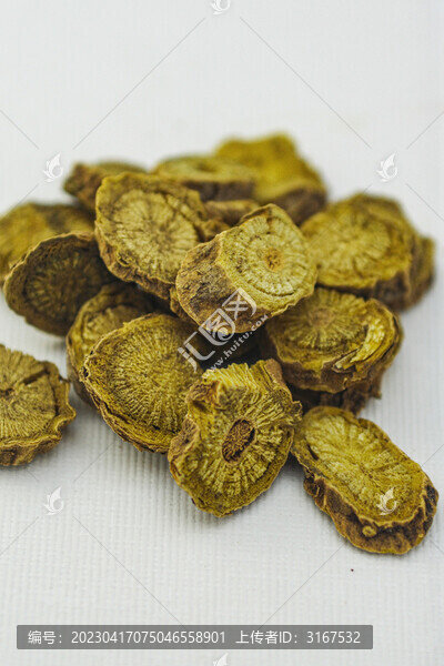 中草藥黃芩