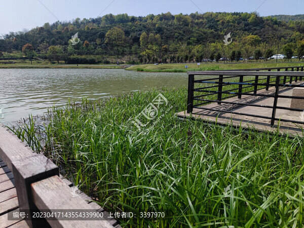 自然風(fēng)景湖泊南北湖