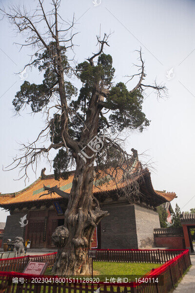 濟瀆廟玉皇殿