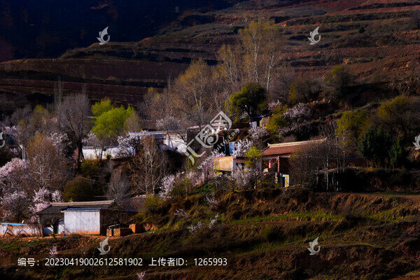 甘肅鄉(xiāng)村春色田園風(fēng)光