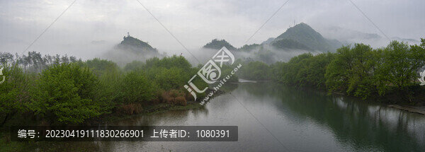 江邊樹林