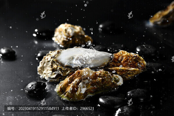 新鮮的生蠔