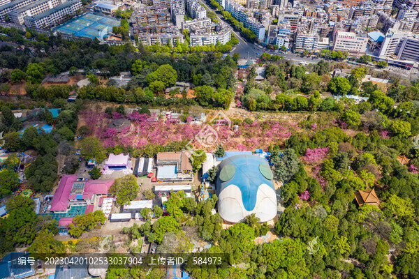 航拍云南昆明圓通山動(dòng)物園景區(qū)