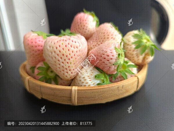 淡雪白草莓拍攝
