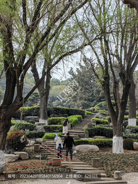 唐苑春色