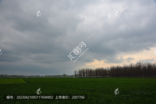 麥田風(fēng)景