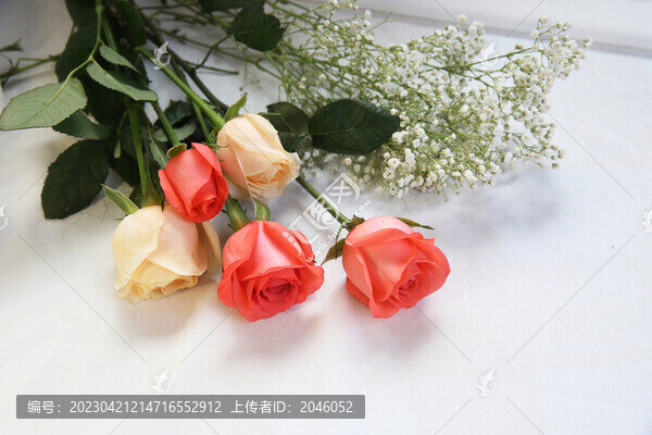 玫瑰花