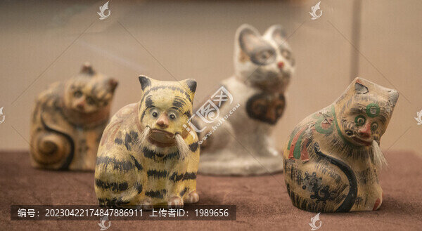 大花貓