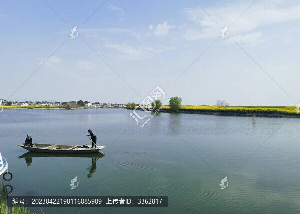 農(nóng)村湖泊田園景象特寫
