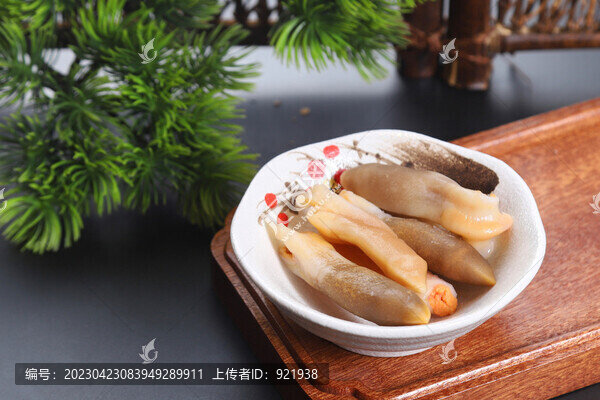 象拔蚌