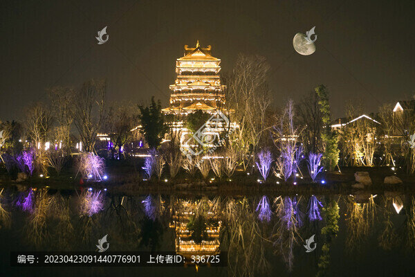 成都東安湖公園東安閣燈光