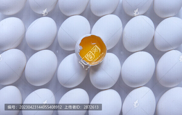 白雞蛋