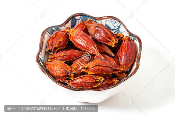 梔子果
