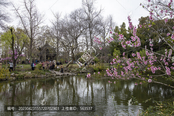 蘇州掘政園古典園林風光