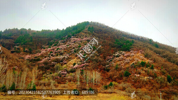 彩色山坡