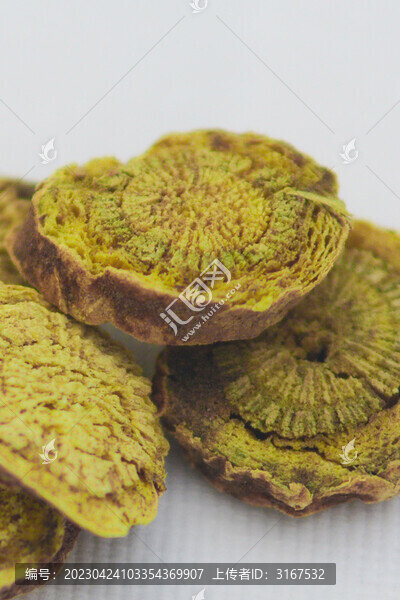 中草藥黃芩