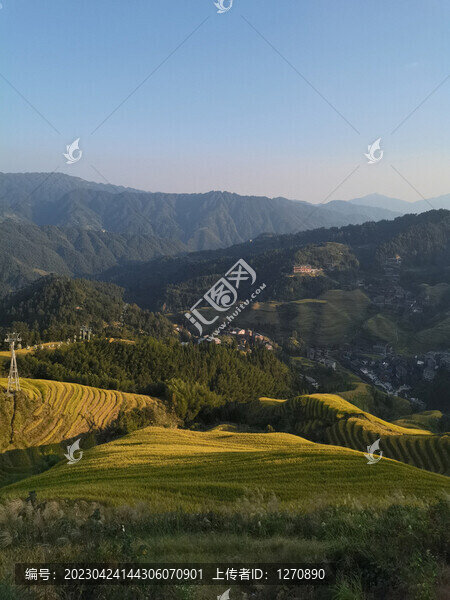 梯田光影