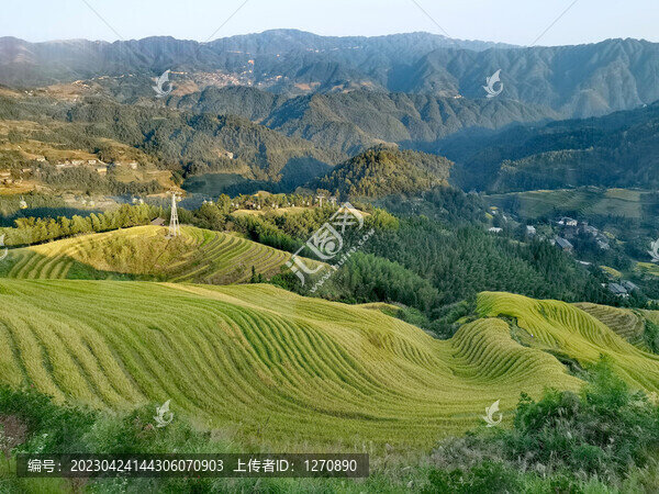 梯田光影