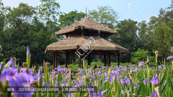 南寧藥用植物園