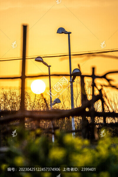 夕陽下的油菜花田