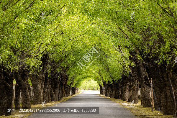 西藏風(fēng)光