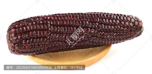 黑玉米
