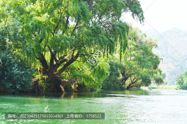 云南會澤牛欄江