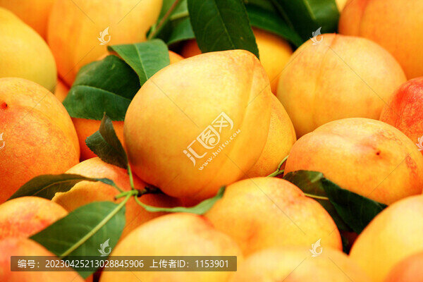 桃子