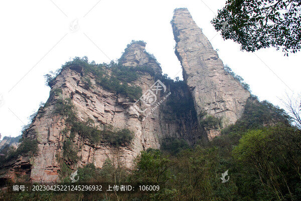 張家界國家森林公園