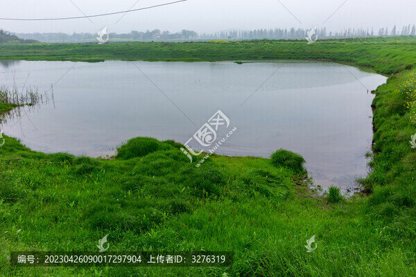 樅陽白蕩湖水草肥美生態(tài)風光
