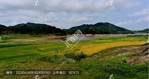 海南314國道風(fēng)景